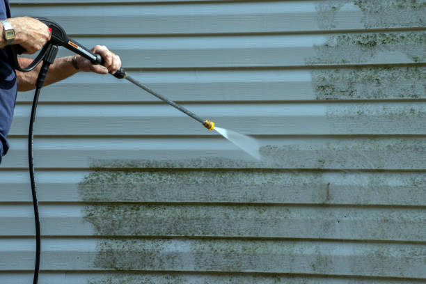 Professional Pressure Washing in Caseyville, IL